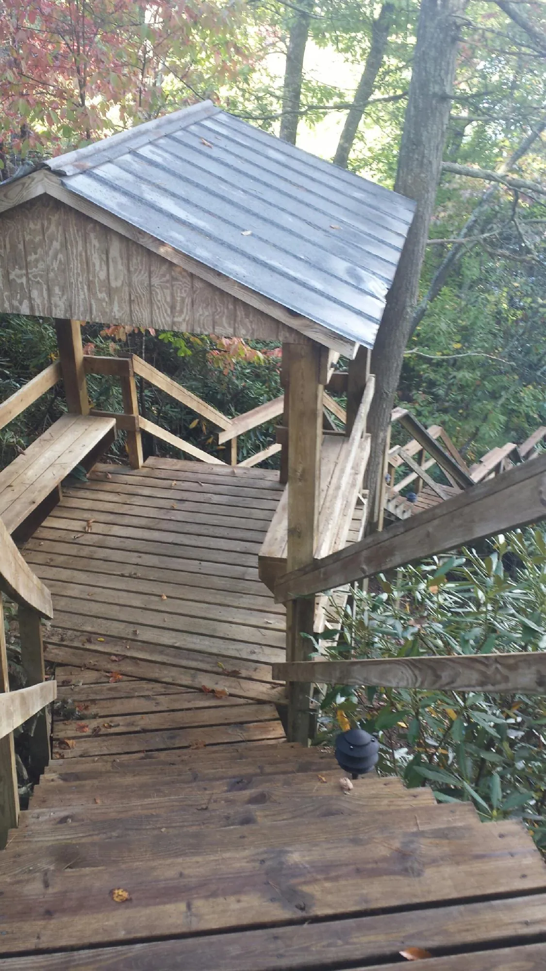 Metal roofed shelter over wooden steps on a wooded walkway — Skylight Repair & Installation work by our crew in Byron